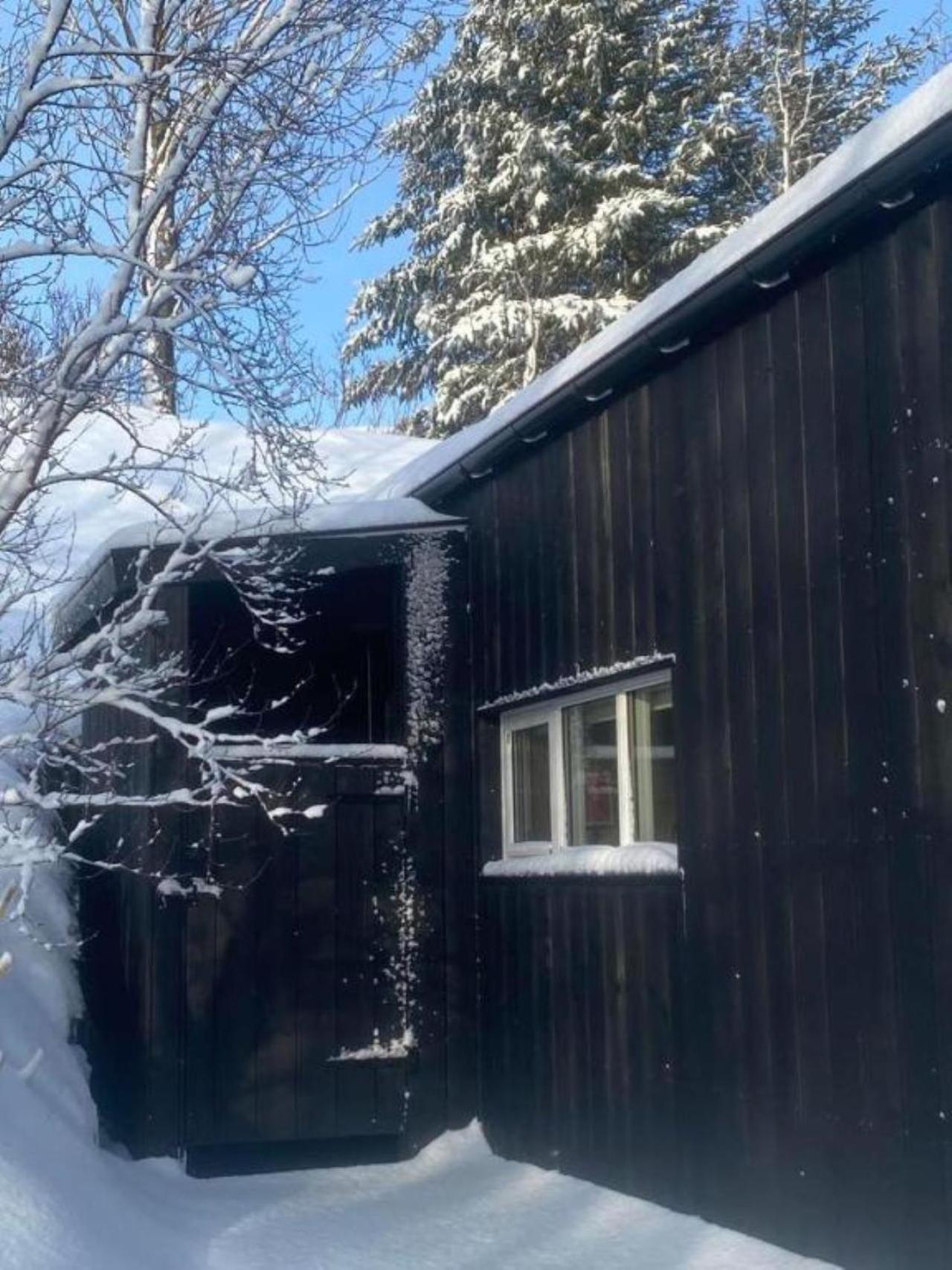 Audkula Dome Cabin Apartment Hella Exterior photo